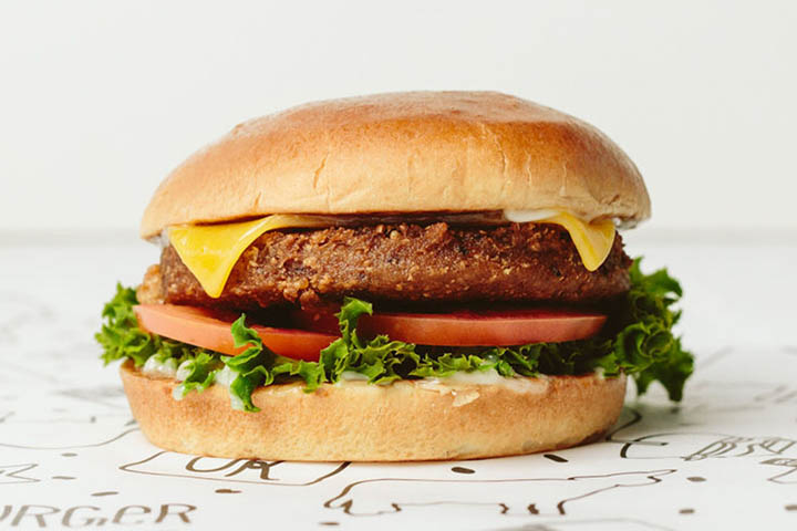 Plant Homestyle Burger - erlebe Green Heroes